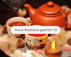 Hva er Rooibos te godt for?