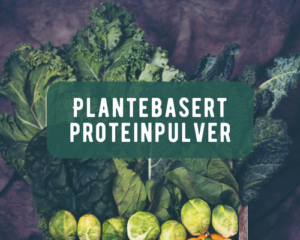 Plantebasert proteinpulver
