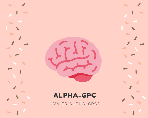 Hva er Alpha-GPC?