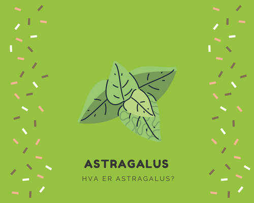 Hva er Astragalus?