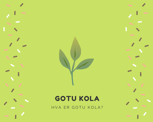 Hva er Gotu Kola