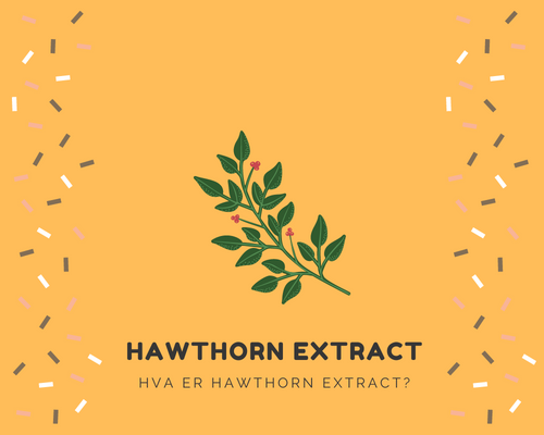 Hva er Hawthorn Extract