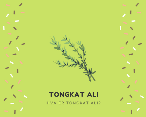 Hva er Tongkat Ali?