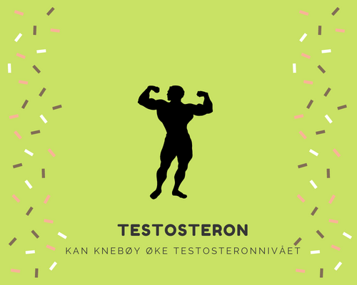 Kan knebøy øke testosteronnivået?