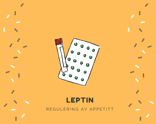 Hva er Leptin - Et bra kosttilskudd?
